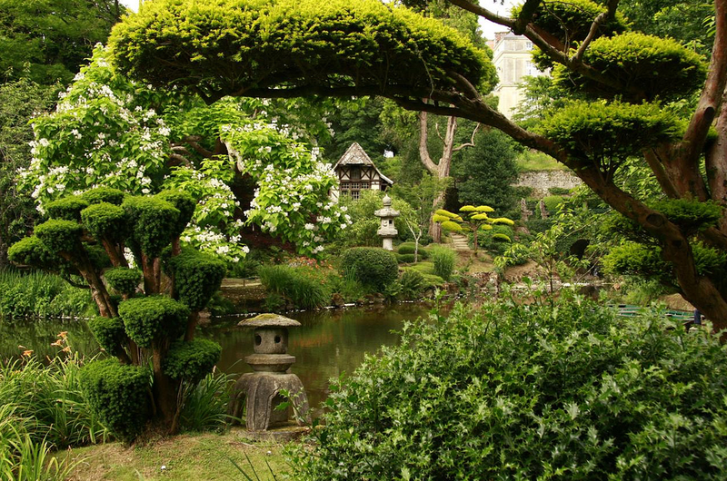 Бирючина ниваки. Парк Молеврие Франция. Японский ниваки в стиле монкабури. Ландшафтный дизайн Япония.